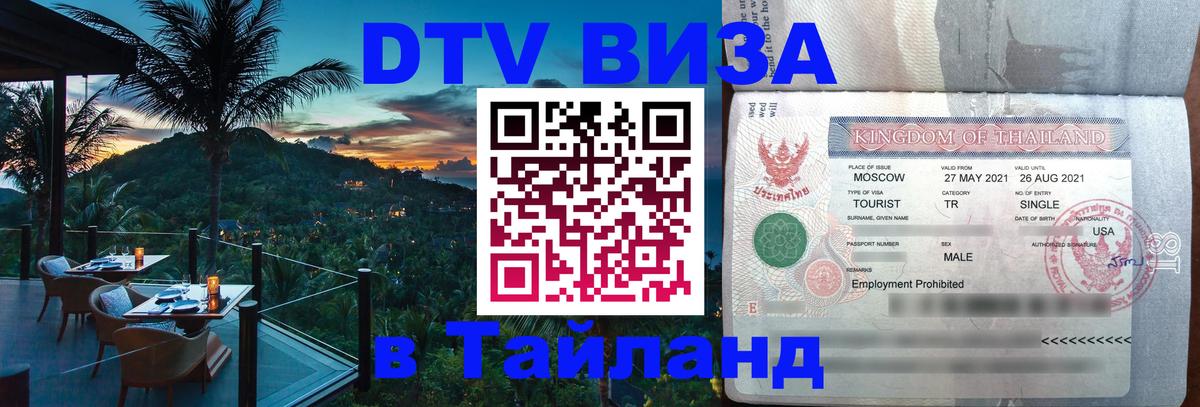 Сколько стоит DTV виза — актуальные цены, оформление даже без документов - Ульяновск 